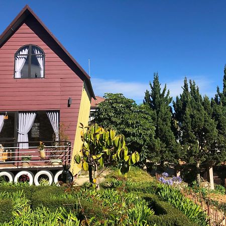 Pine Tree Homestay Da Lat Exterior photo